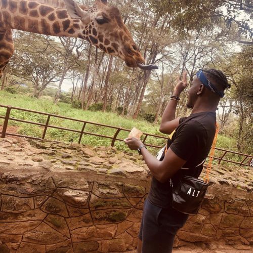Stephen Kobam's feeding a Giraffe during his recent travel to Kenya